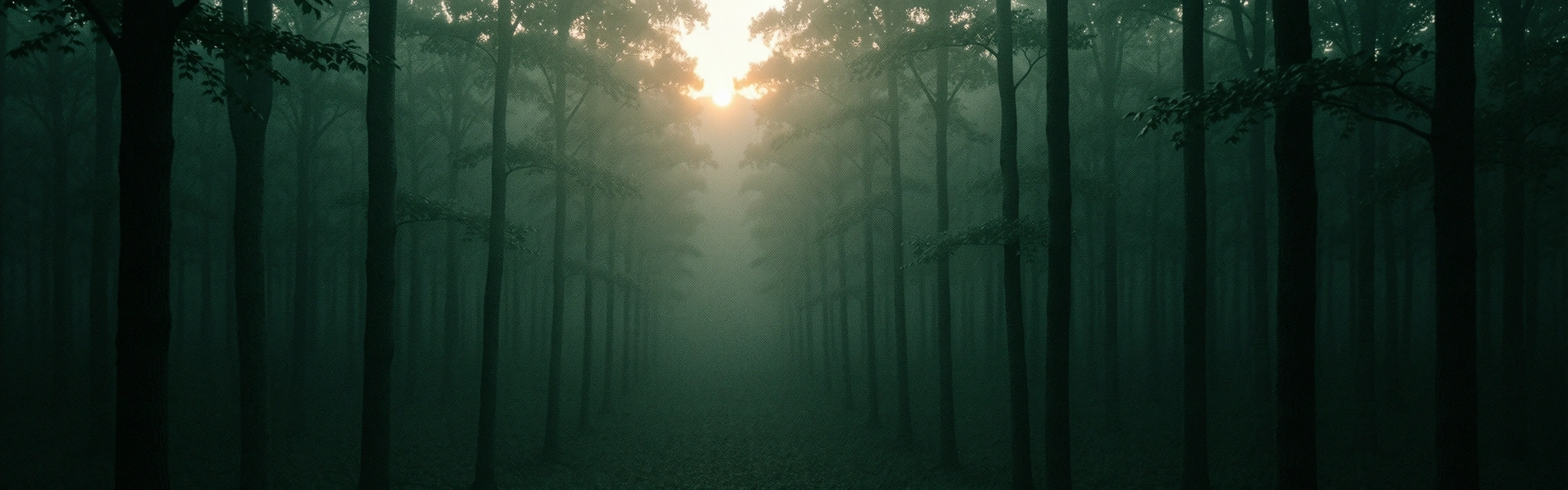 Ruhige Atmosphäre